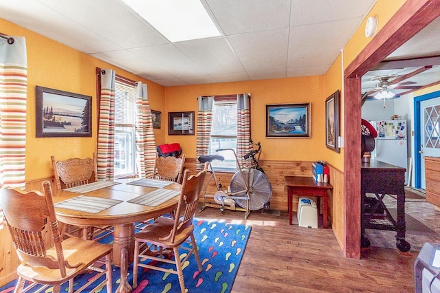 dining room with wood finished floors, wooden walls, wainscoting, a paneled ceiling, and ceiling fan