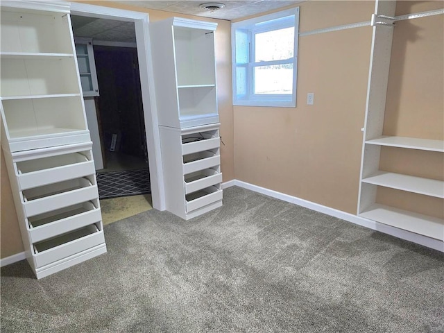 walk in closet featuring carpet