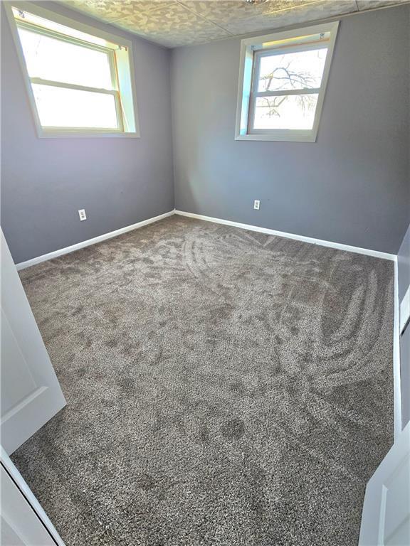 empty room with carpet, baseboards, and a wealth of natural light