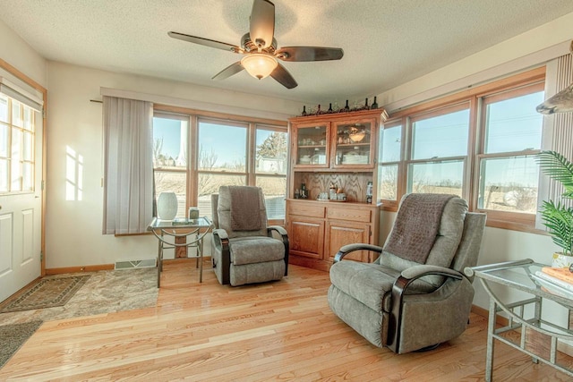 living area featuring light wood-type flooring, plenty of natural light, and a textured ceiling