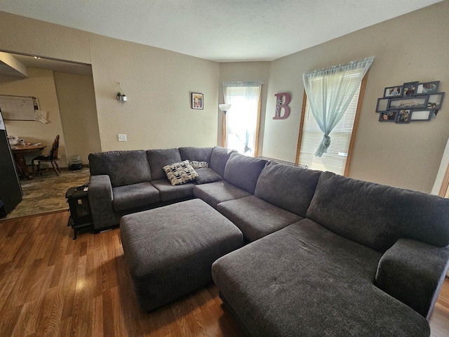 living area with wood finished floors