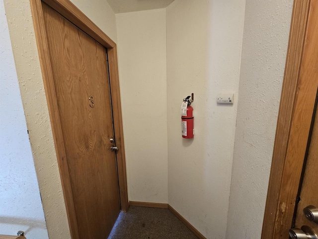 hallway featuring carpet