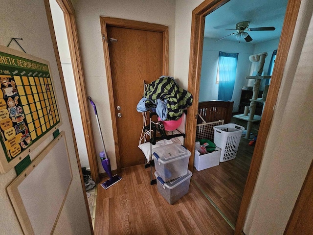 hall featuring wood finished floors