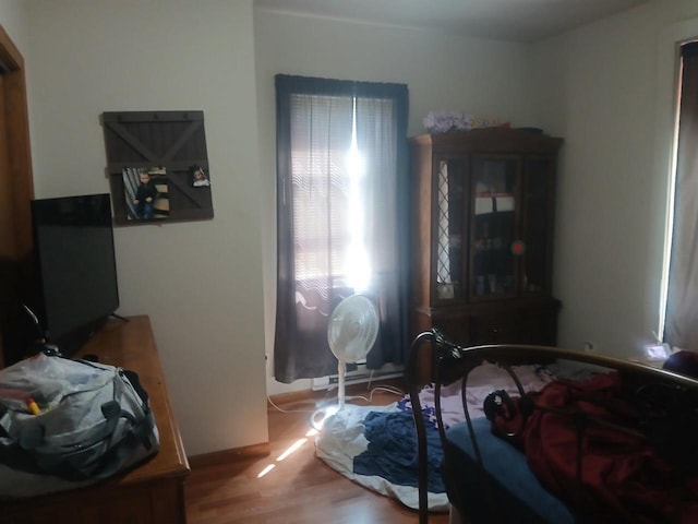 bedroom featuring wood finished floors