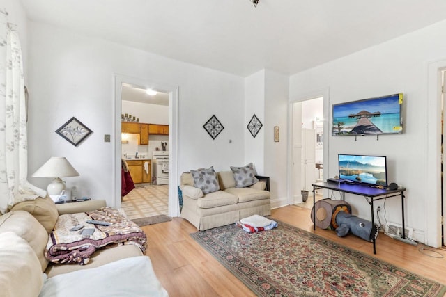 living room featuring light wood-type flooring