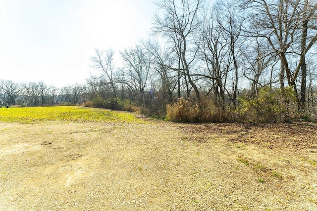 view of local wilderness