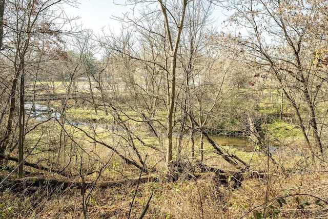 view of landscape