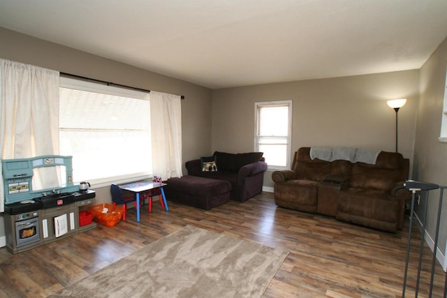 living area featuring wood finished floors