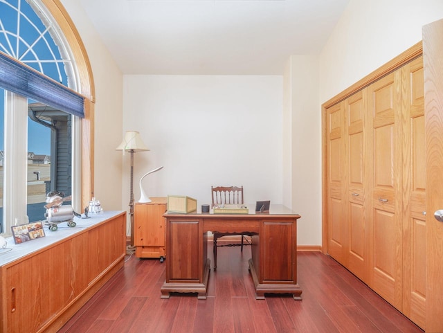 office with dark wood-style flooring