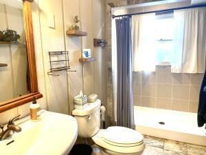 bathroom with a shower stall, toilet, and a sink