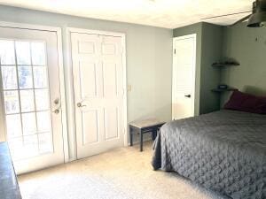 bedroom featuring carpet flooring and multiple windows