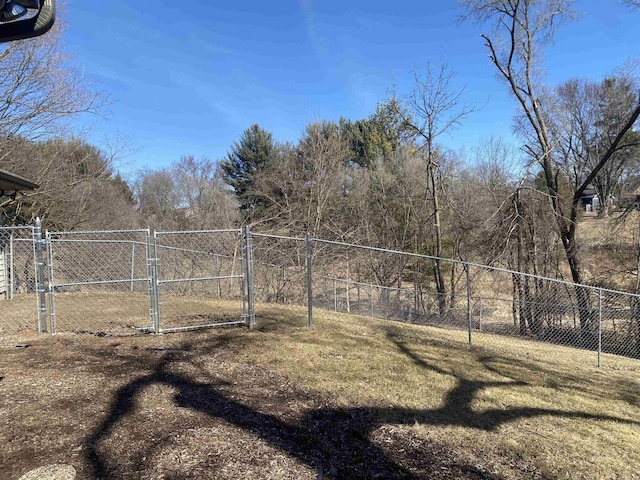 view of yard featuring fence and a gate