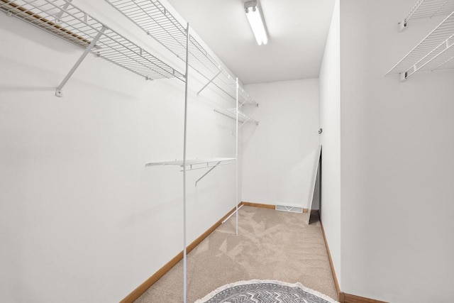 spacious closet with visible vents and light colored carpet