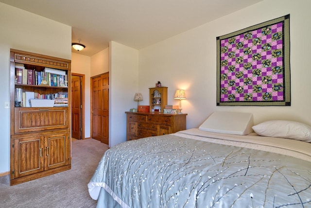 carpeted bedroom featuring a closet