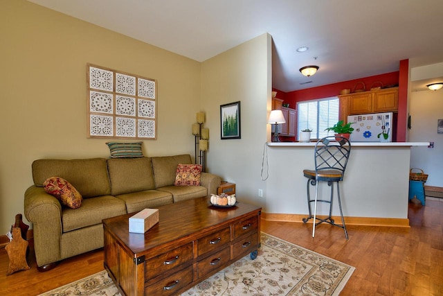 living area featuring wood finished floors