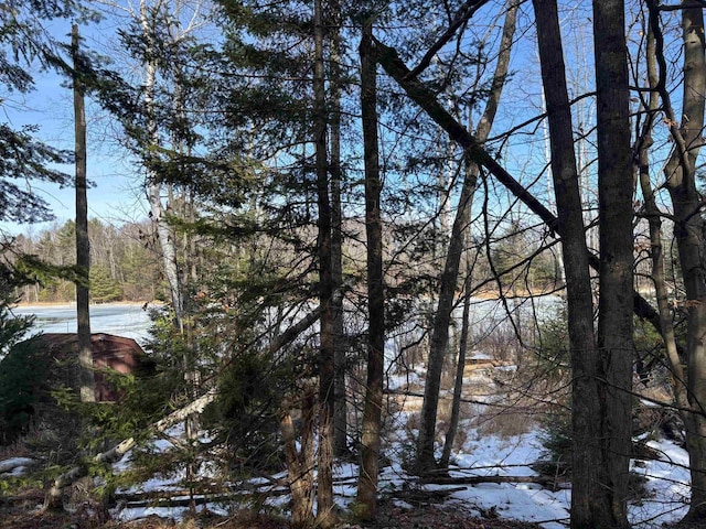 view of water feature featuring a wooded view