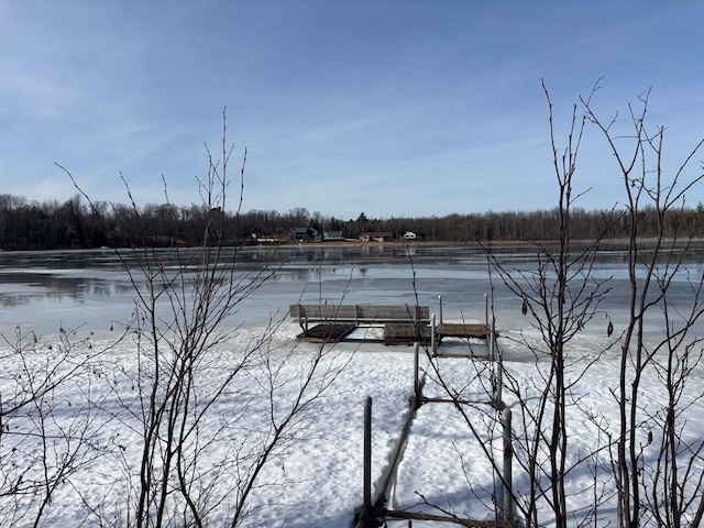 property view of water featuring a boat dock