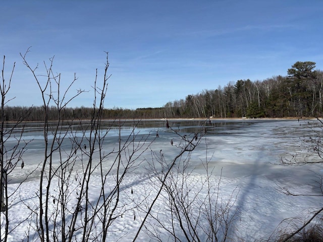 water view with a wooded view