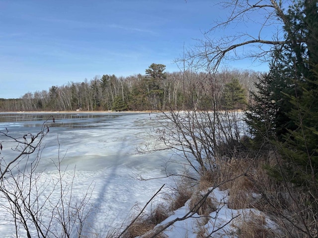 property view of water with a wooded view