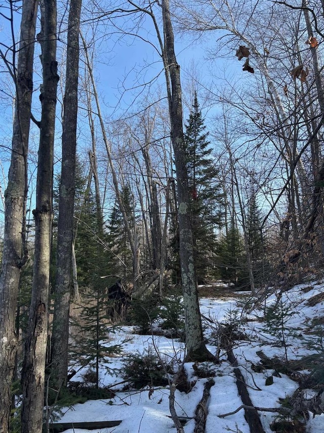 view of snow covered land