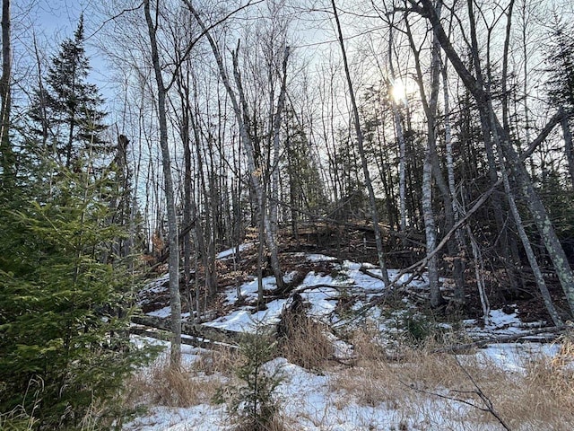 view of snowy landscape