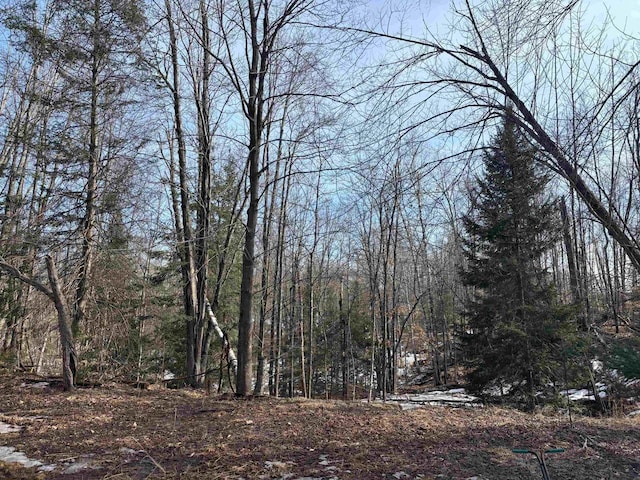 view of local wilderness with a wooded view