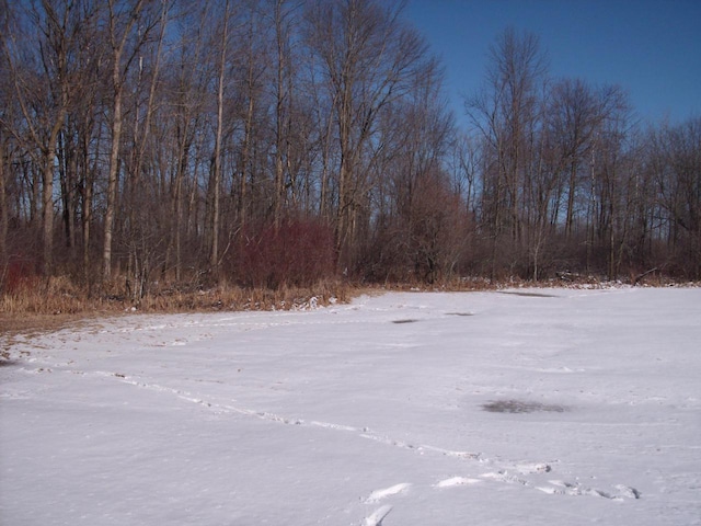 yard covered in snow with a forest view