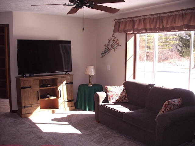 living area featuring carpet flooring, a ceiling fan, and a textured ceiling