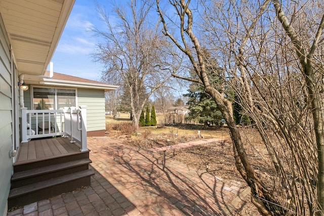 view of yard with a patio area