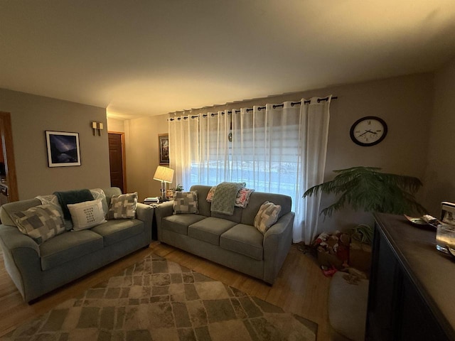 living area featuring wood finished floors