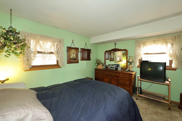 bedroom with carpet floors