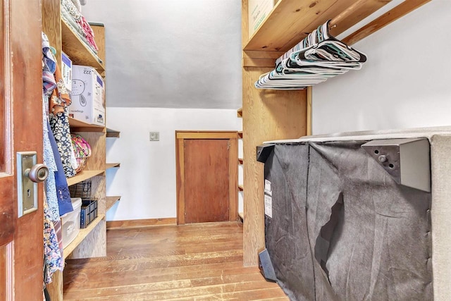 walk in closet featuring wood finished floors