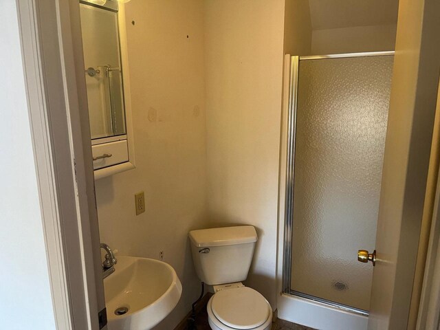 full bathroom featuring a sink, toilet, and a stall shower