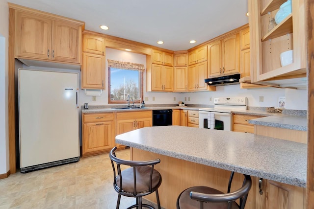 kitchen with refrigerator, under cabinet range hood, dishwasher, white electric stove, and a sink