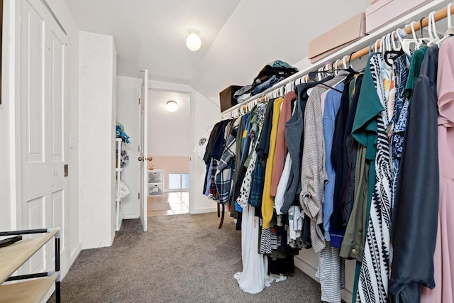 walk in closet with carpet flooring