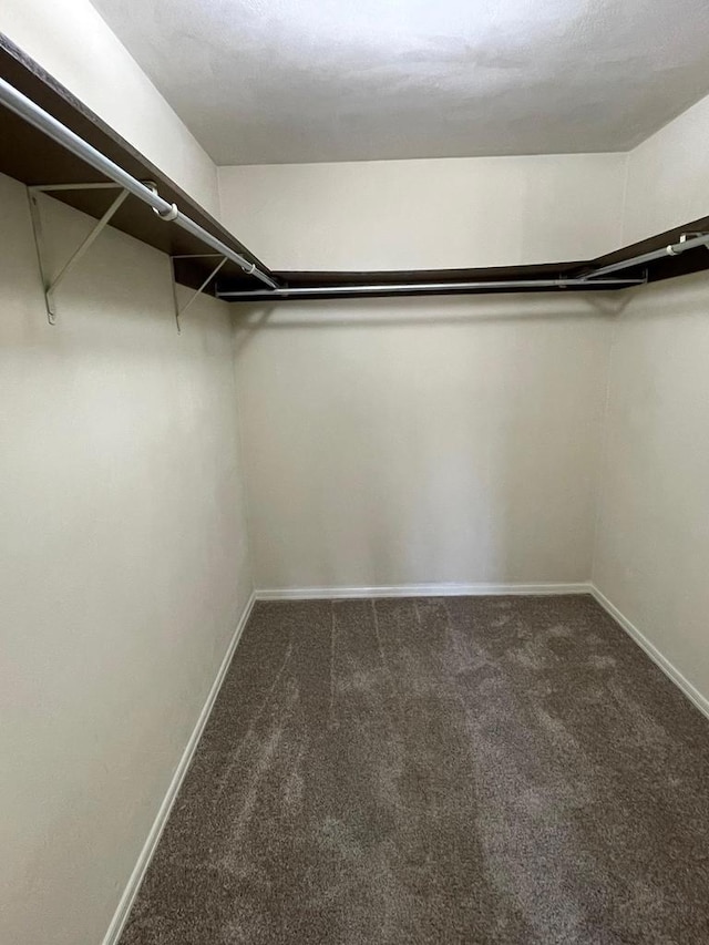 spacious closet with carpet floors