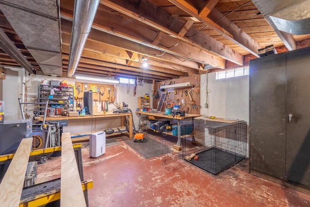 basement with plenty of natural light and a workshop area