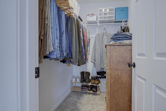 walk in closet featuring carpet