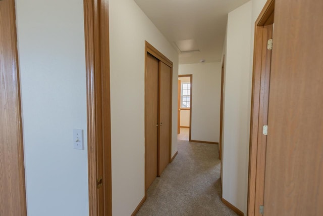 hall featuring baseboards, attic access, and carpet flooring