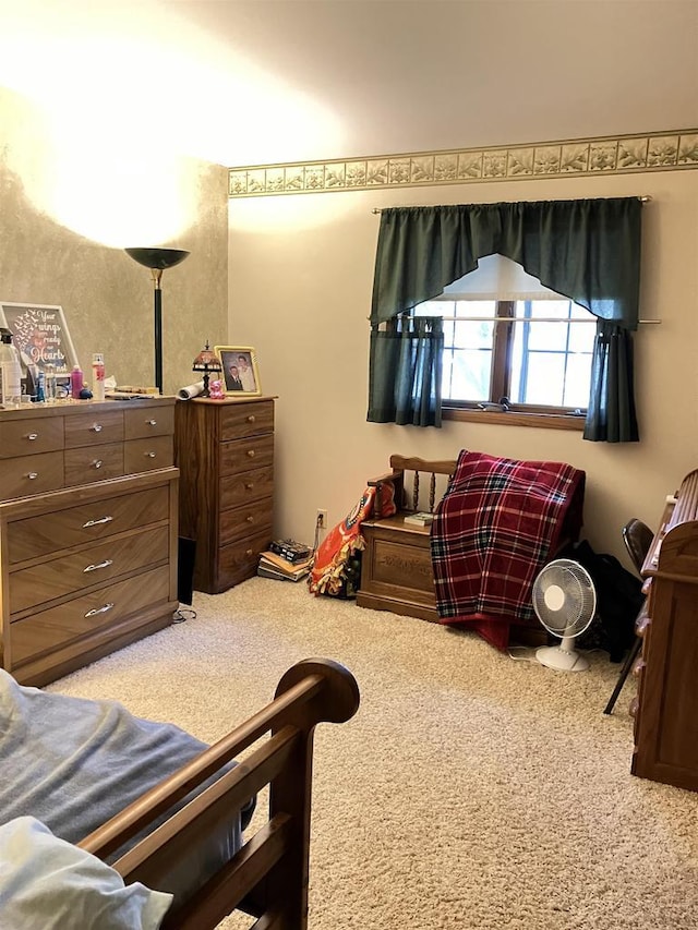 view of carpeted bedroom