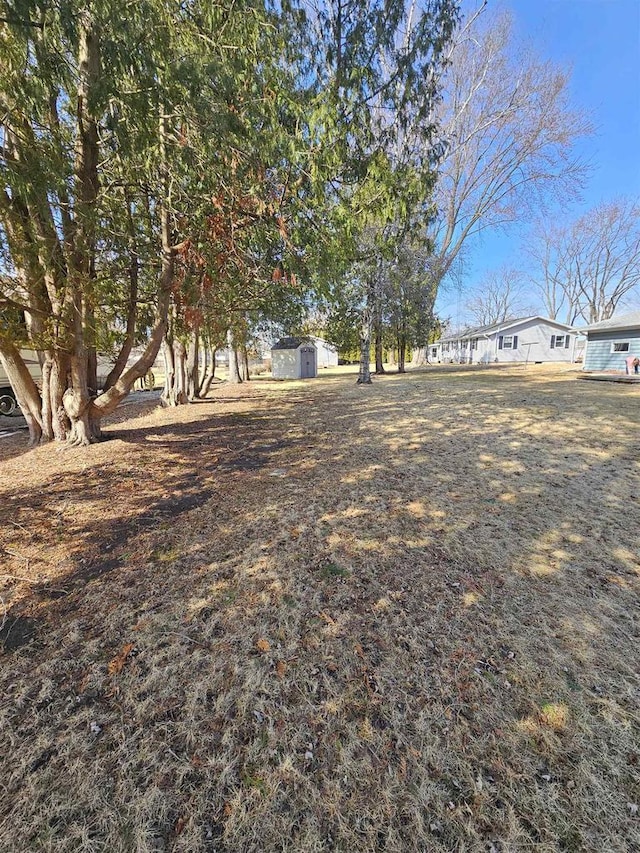 view of yard featuring an outbuilding and a storage unit