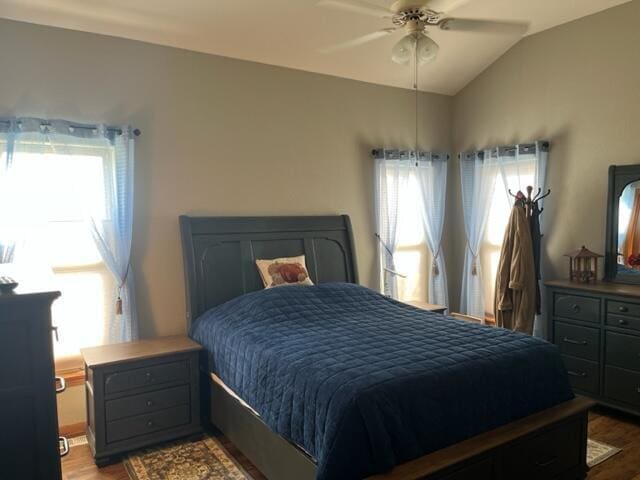 bedroom with multiple windows, lofted ceiling, wood finished floors, and a ceiling fan