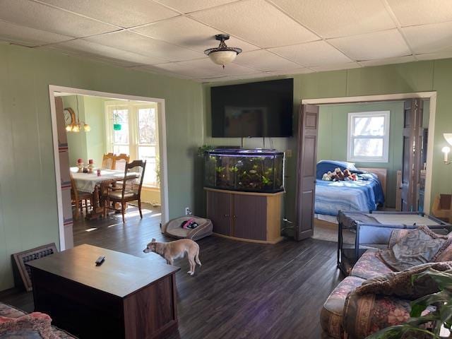 living room featuring a drop ceiling and wood finished floors