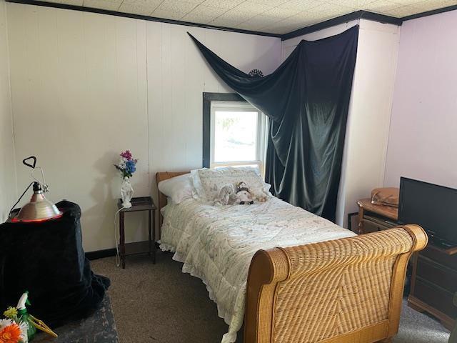 bedroom with carpet flooring