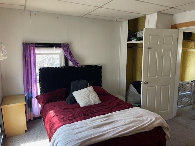 bedroom featuring a drop ceiling and carpet flooring