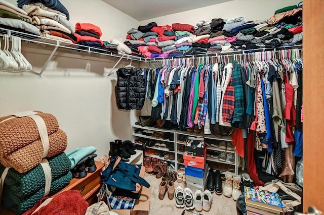 walk in closet with carpet floors