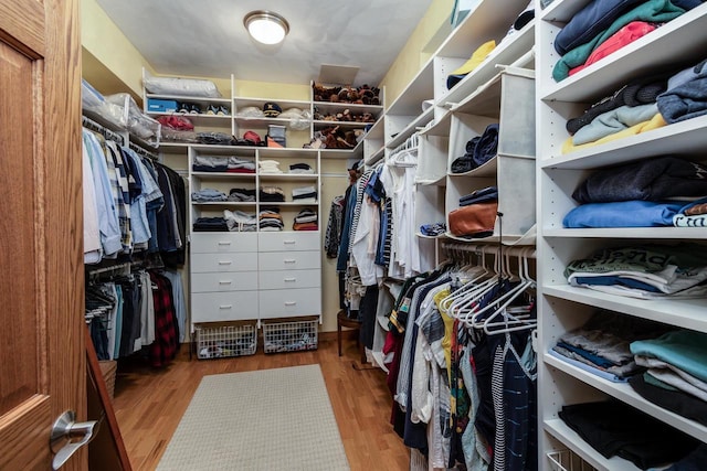 3018 Waubesa Ave, Madison, WI 53711 - walk in closet with wood finished floors
