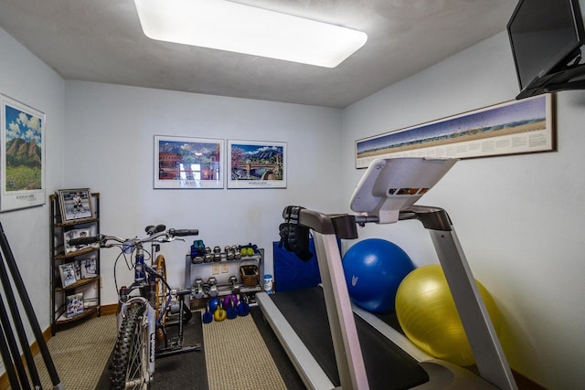 3018 Waubesa Ave, Madison, WI 53711 - workout area with carpet and baseboards