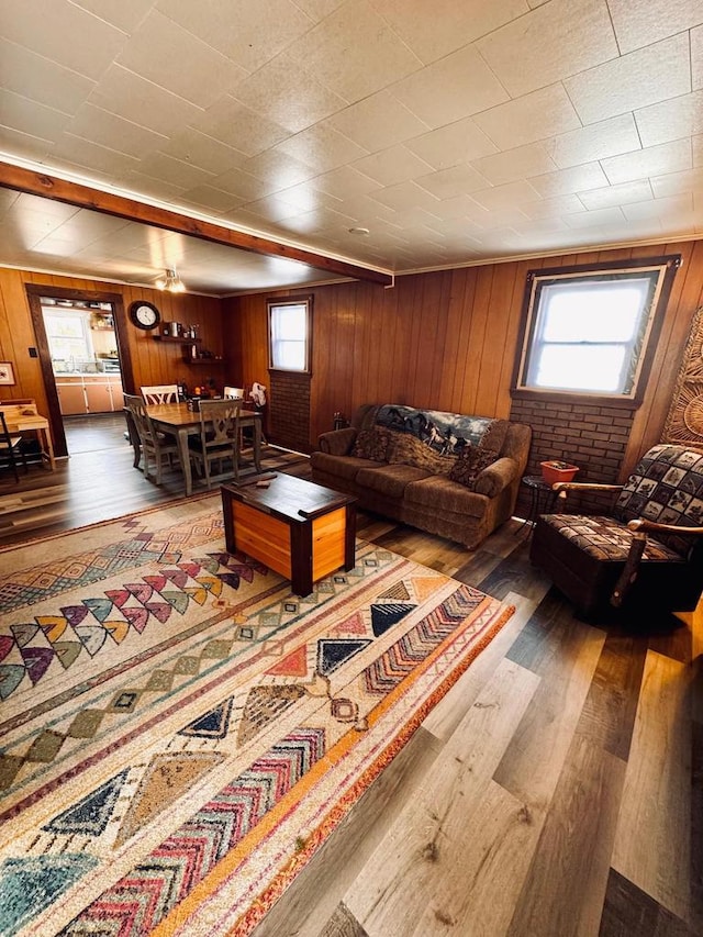 living area featuring wooden walls, a healthy amount of sunlight, and wood finished floors