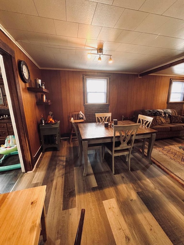 dining area featuring wood walls and hardwood / wood-style flooring